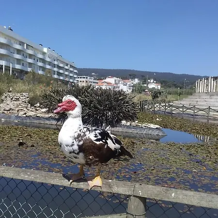 公寓 Atlantic Beach-side *