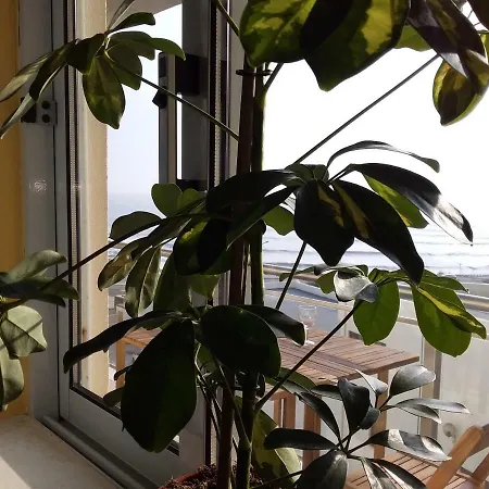 Atlantic Beach-side 公寓 *