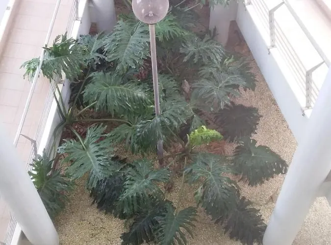 Atlantic Beach-side Apartment Figueira da Foz