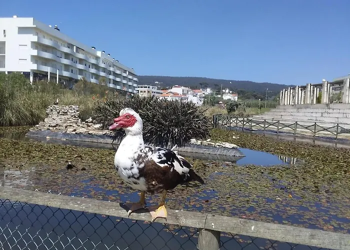 Apartment Atlantic Beach-side *