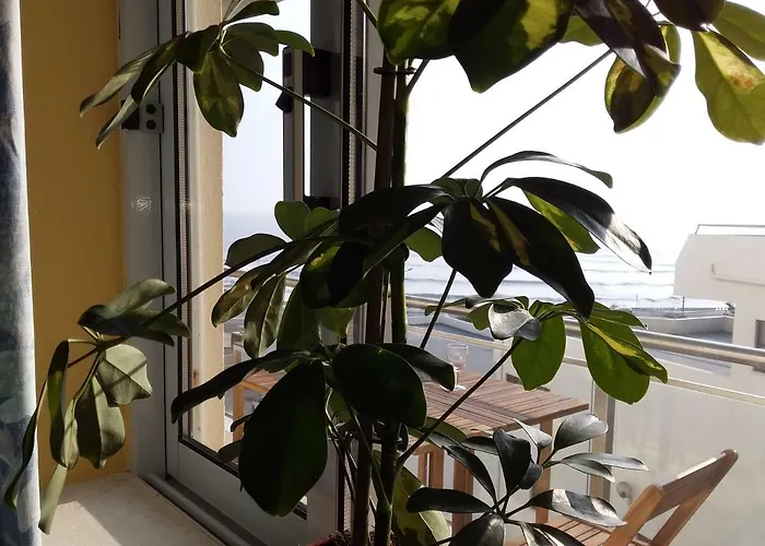 Atlantic Beach-side Apartment *